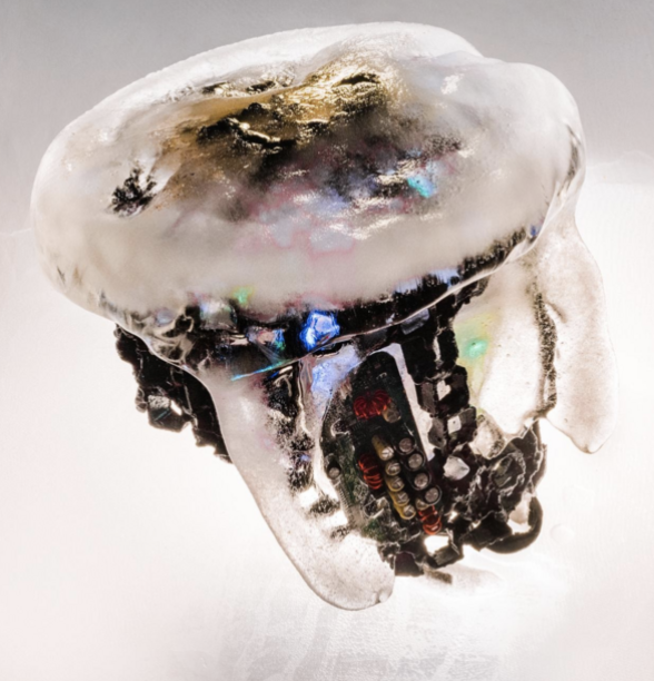 Photograph of Yana Vasilyeva's sculpture 3ve\